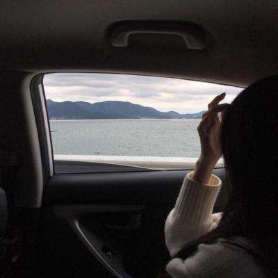 网信彩票-用户登录截图